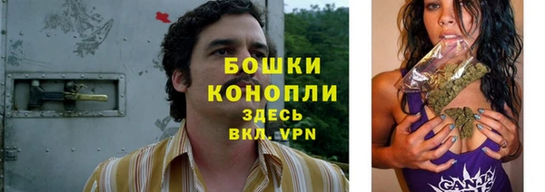 хмурый Магас