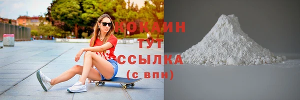 хмурый Магас
