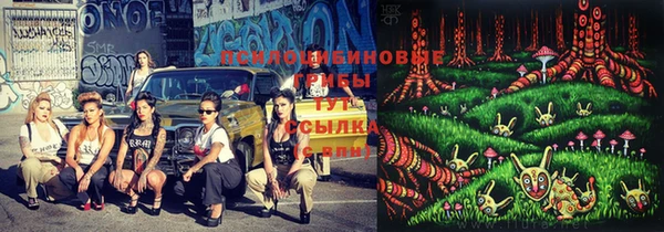 бошки Магадан