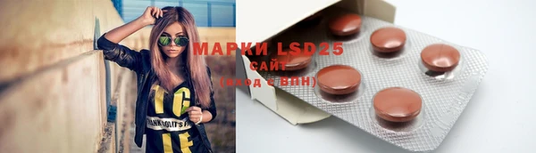 хмурый Магас