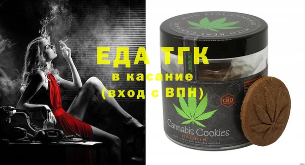хмурый Магас