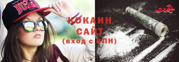 хмурый Магас