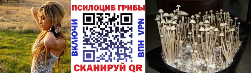 Купить закладки  Комсомольск-на-Амуре  Галлюциногенные грибы мухоморы 